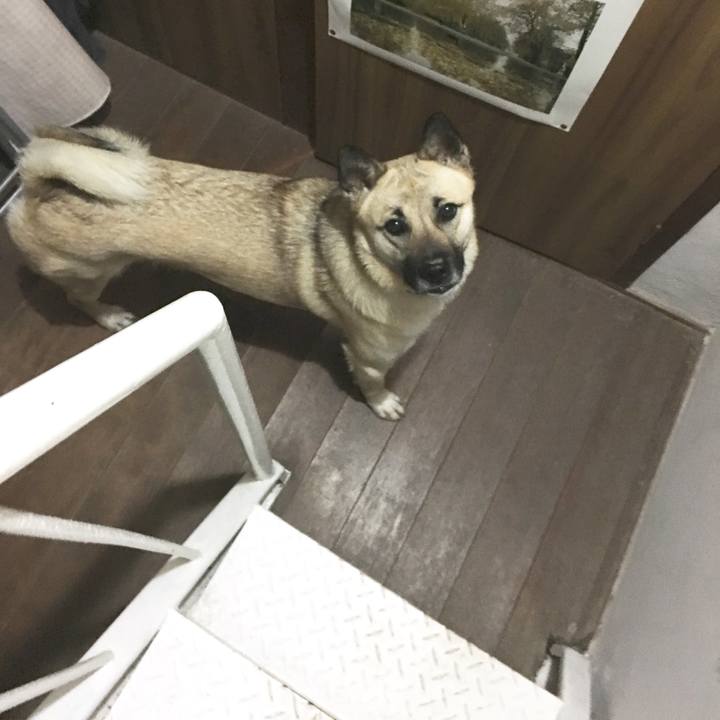 712b2fee 7afc 4742 ae1c a7d542edbb1a