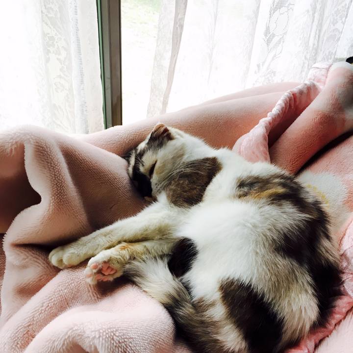 712b84c7 f934 4a02 80b6 bc86569f280e