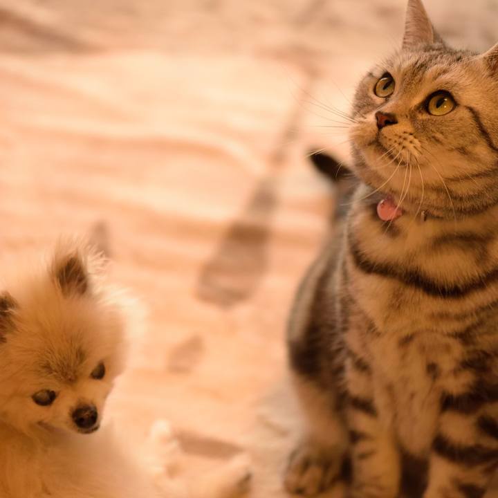 712c046d c0b0 4038 9d73 622584c99b15