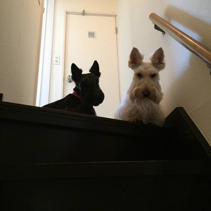 712c4789 4a73 4505 8326 d4329bf3da86