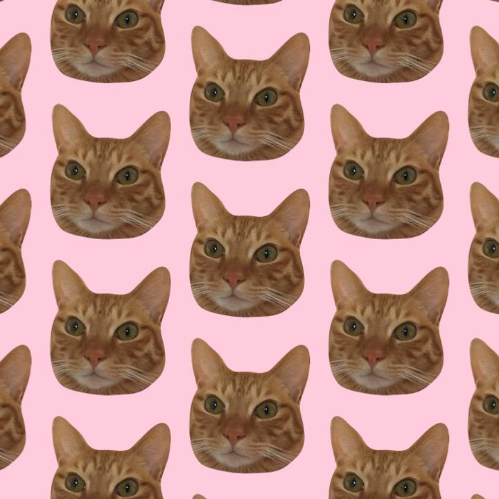 712c544d 0308 4842 951b a3edb3313b2a