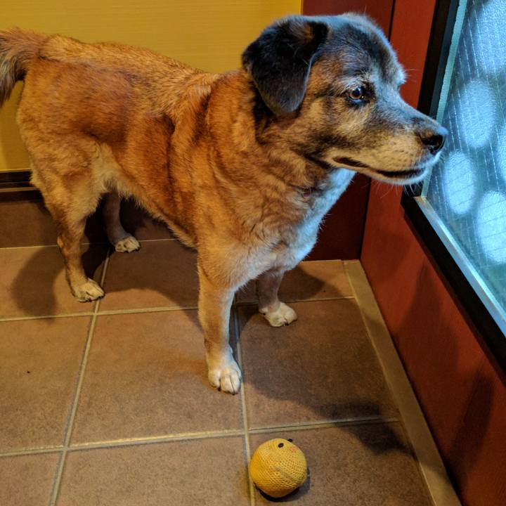 712c7d19 87a2 48e4 b65e 31b4f807f2ca