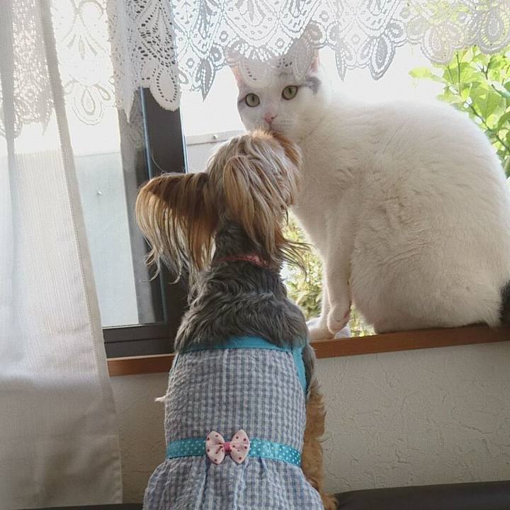 712d40c4 ef5b 40ef aeff 913e746e28e3