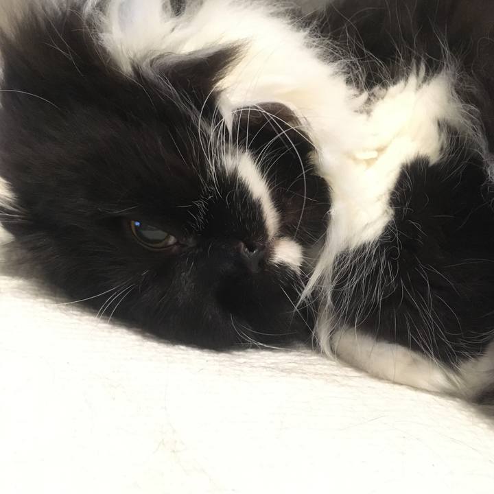 712d6a4b 7fa3 4f75 afa9 819af5eb3816