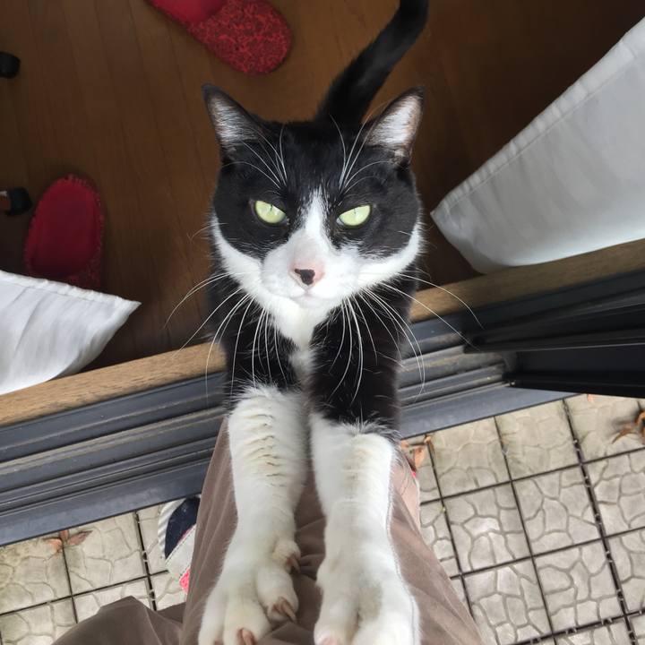 712d96ac 4f76 48be a8dd cdfc23dd06df