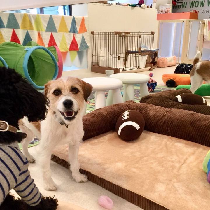 712e1486 41f1 4197 b008 bd3ca6e9cbcf