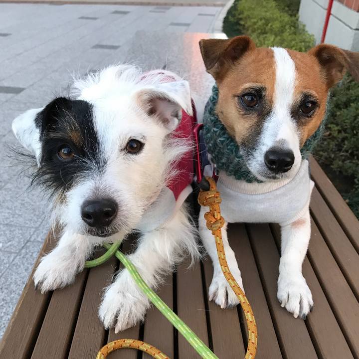 712e288e 08d1 450c a52c fcdb89d9fe5a