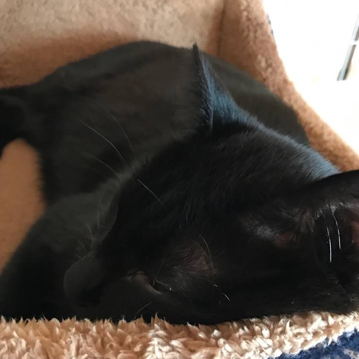 712e6140 051e 4261 949b 013bc45ef9a1