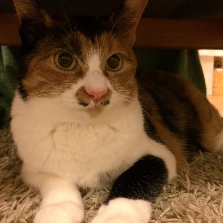 712e838c 5c3d 4abe 9b99 c5cdb21cc4d2