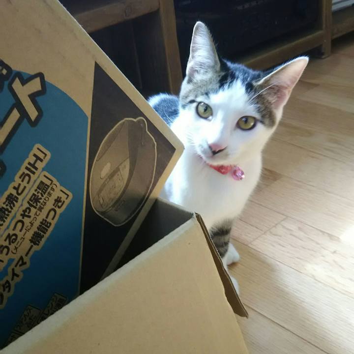 712f5ee9 f54d 4f13 87b4 09c753a31e50