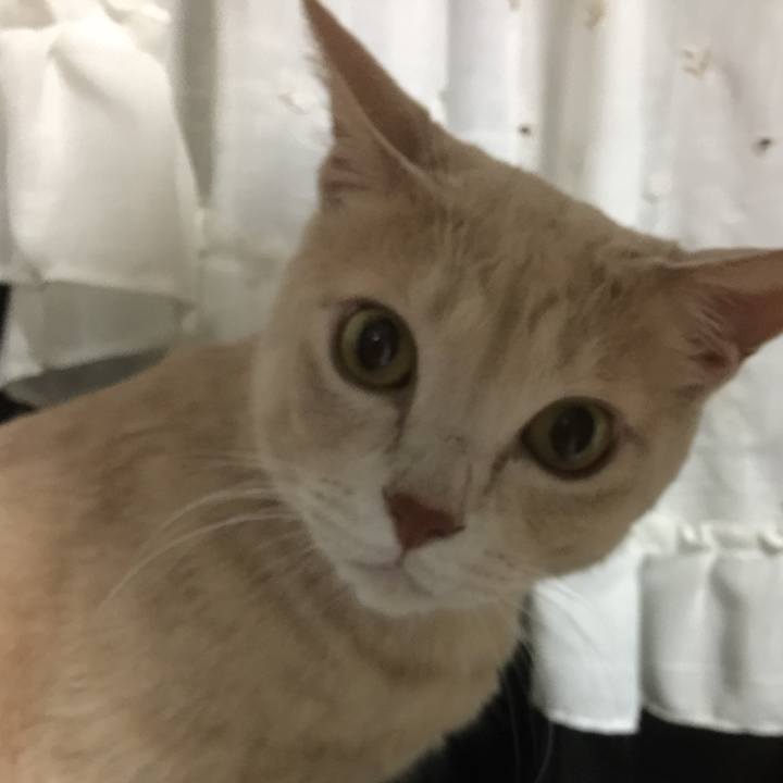 712f6b12 b916 4225 87f6 8a28c587424c