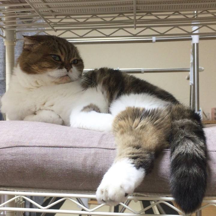 712f8046 c089 4b3e aa05 72d05546edea