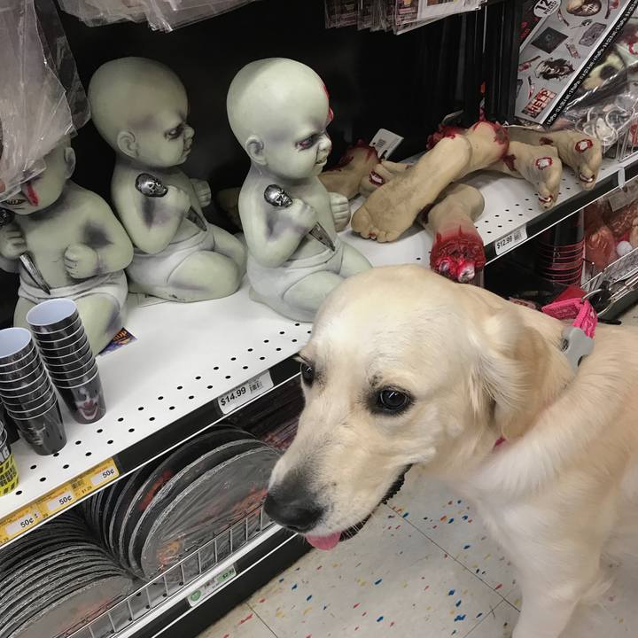 712f9561 a030 4ade b133 7b352e6d20fd