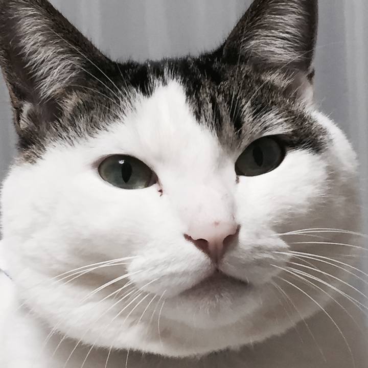 712fa392 5158 4a6c 8fe1 60fb8aa140ea