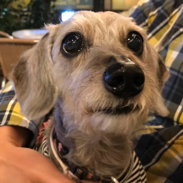 712fc24f c641 467a abd9 aa01cde88143