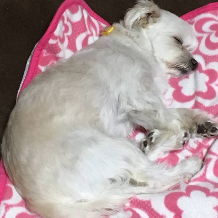 7130507d 8484 4484 a200 be7f21a3345e