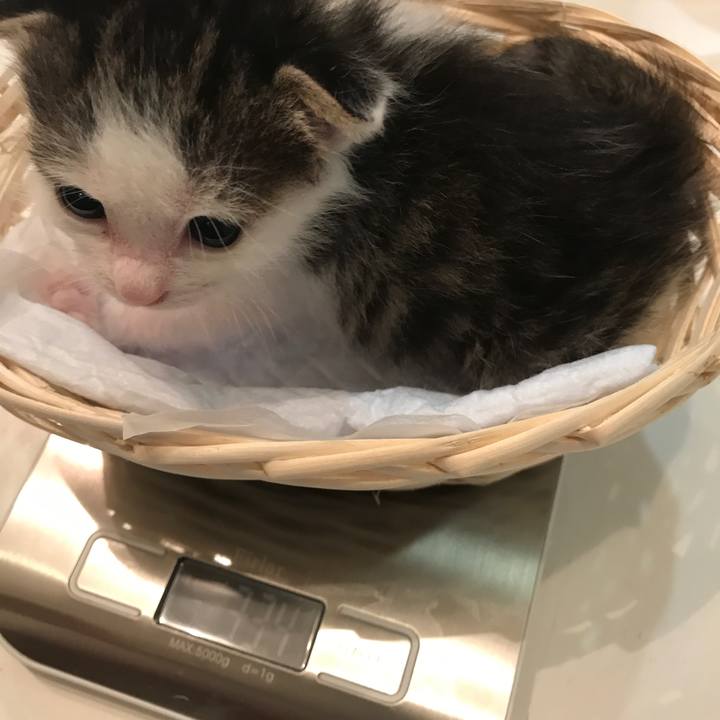 7131b76f 2d57 4a72 be33 2a30843f8ea6