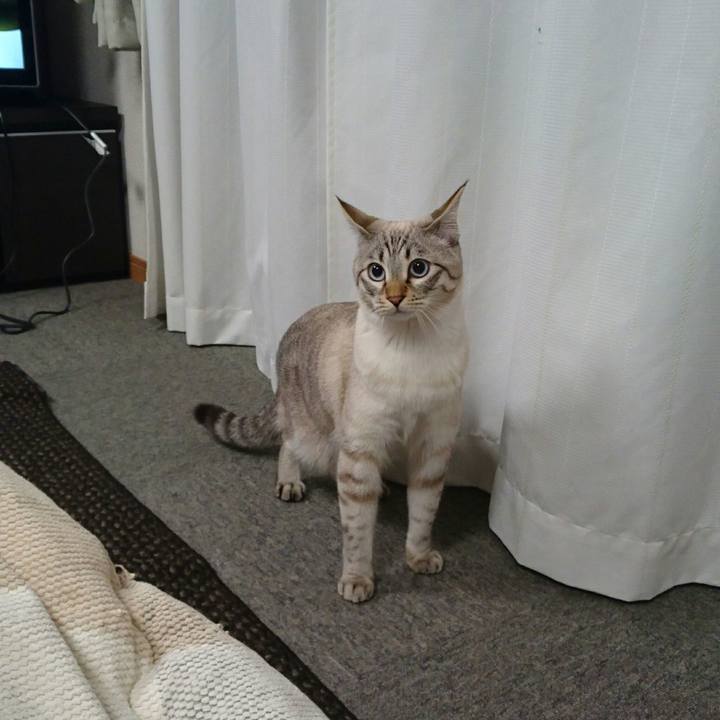 7131f75f 667d 4b22 bc6b 8e3a9ac15409