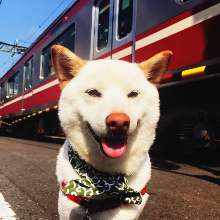 71325eb5 5428 4599 8755 8621e93b01d9