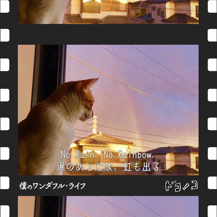 71326b6e 7213 4021 8553 562e53f1a99a