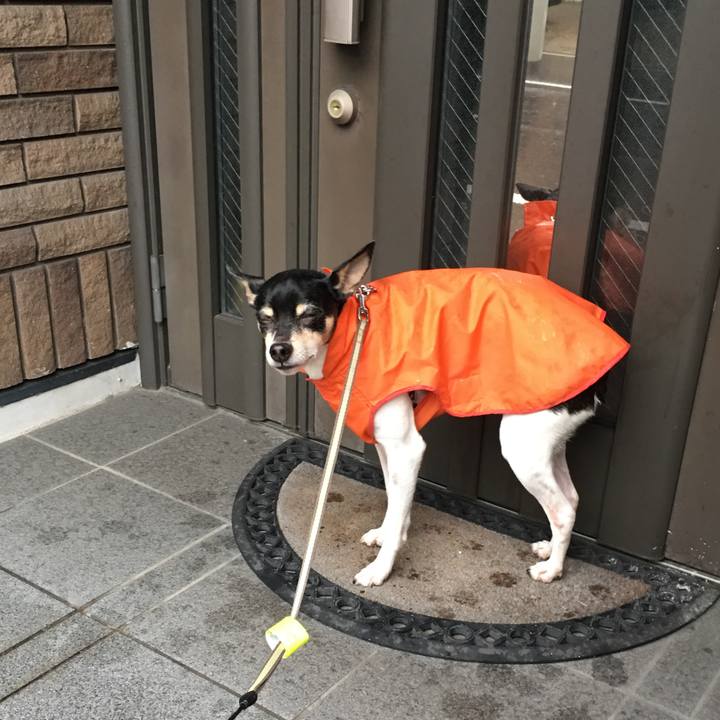 7132cfd7 8ba0 4dde 82f7 d3f66be79500