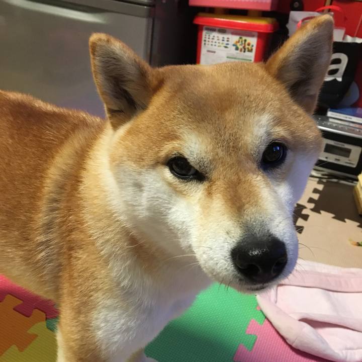 7132dbae f153 4e5b a459 20f901465f11