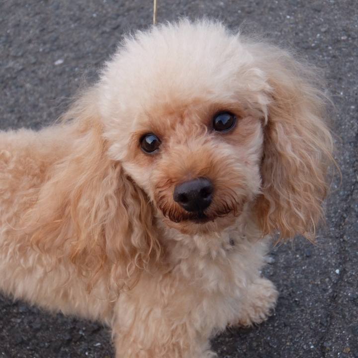 7132e843 d45f 4982 bd90 fee64bd31b4d