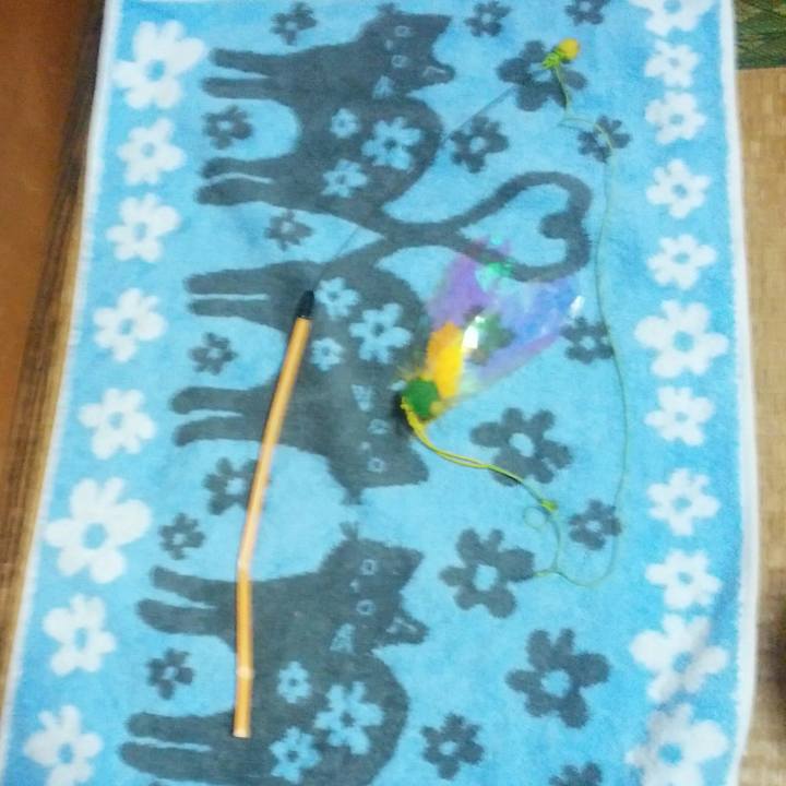 71336861 243c 46b1 a92b 428c72fd6446