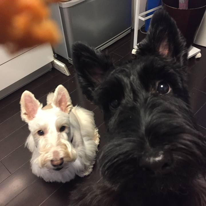 71344ce5 67d2 4cb6 b2ce 25213f2c6b69