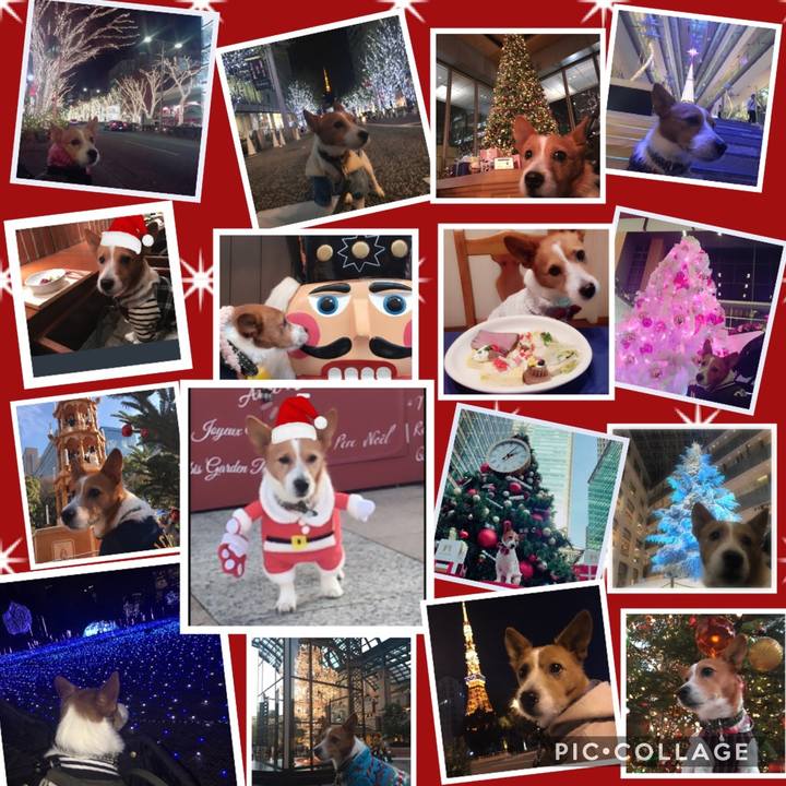 7134f7a6 5904 43c0 becd dd0c52858dce