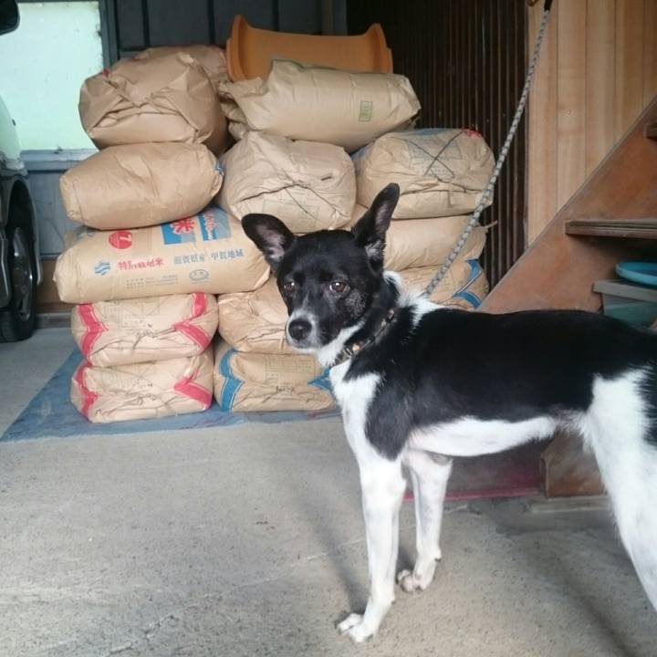 71352b1f 80f6 42d7 b0e0 1f954ba30c0c