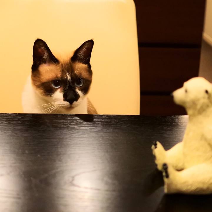 7135cf97 477e 4ac9 a830 04ae560ee878