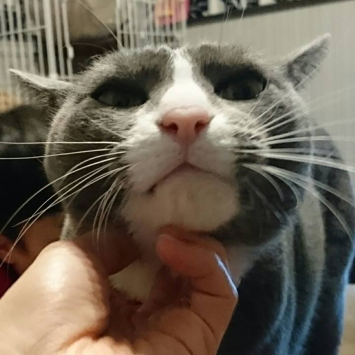 7135d952 e863 4906 81fb d6a8143b6cf0