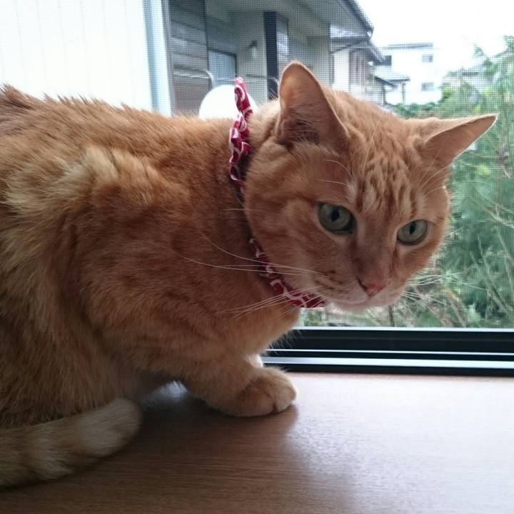 7135f5ae 0486 4b5b b7e6 29b350f4b7f4