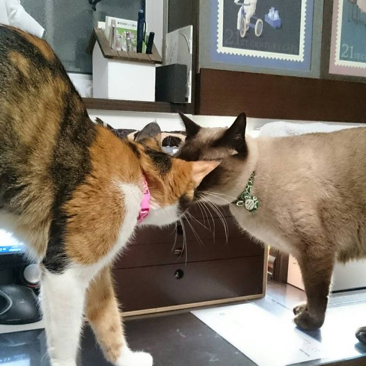 7135fd68 c91a 41fe 81f9 112973b56777