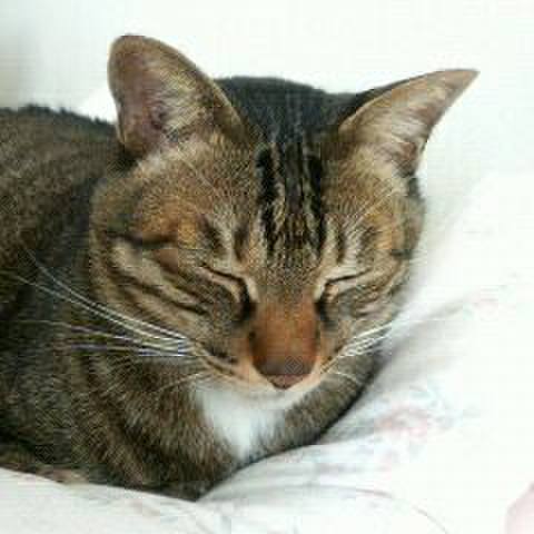 7136596f b321 4f63 ba67 475608eae4be