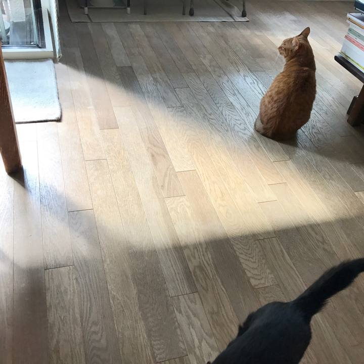 7136da19 4f60 452a 9acd 25ef09d18a4f