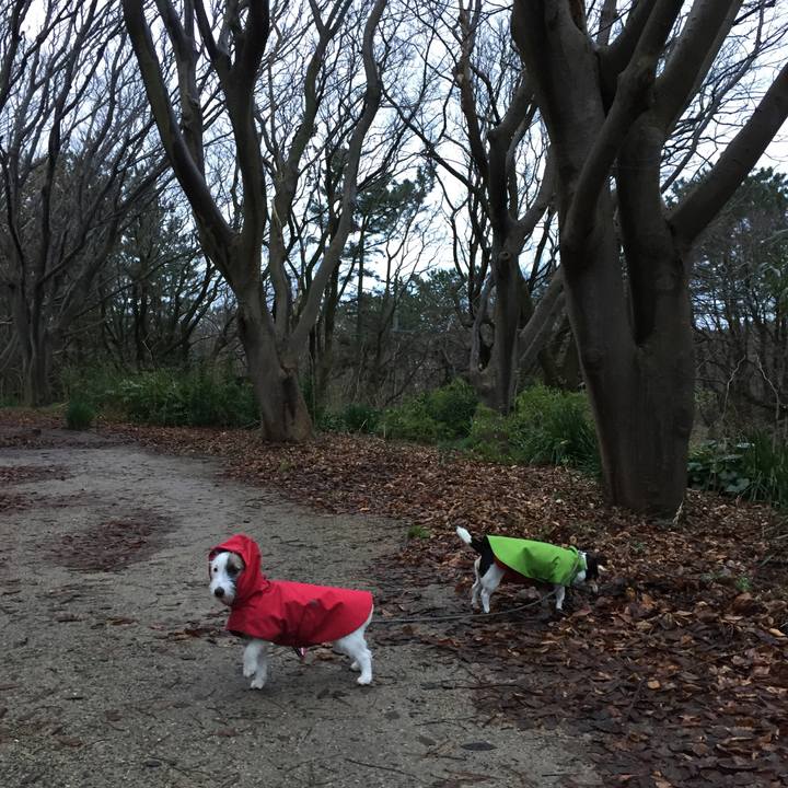 71371dfb 3190 466c b8b2 0140740bbea5