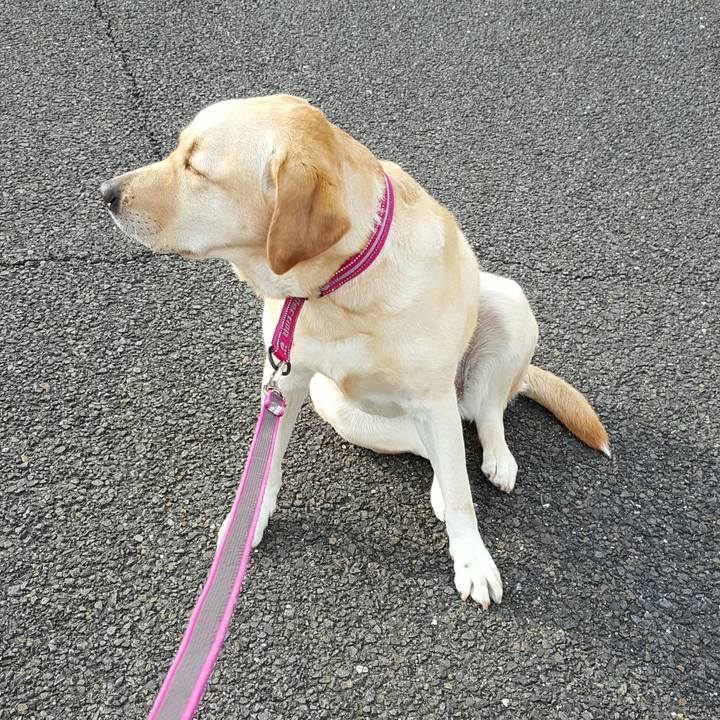 71373a3e d354 4386 919c f76c0141c585