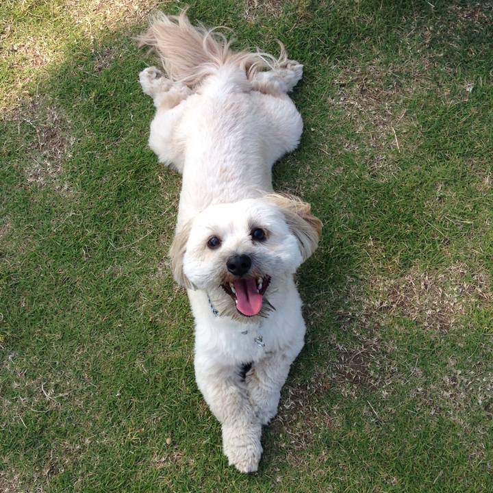 71387c9e 69da 4a3e b030 dbea58ec1557