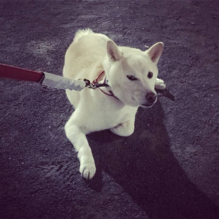 71390c7e 5d1c 4c08 bb2e 8718cd115e55