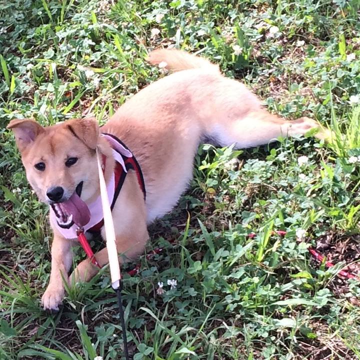 71390e68 da9d 42ee 8cc8 5ae02a9a9fca