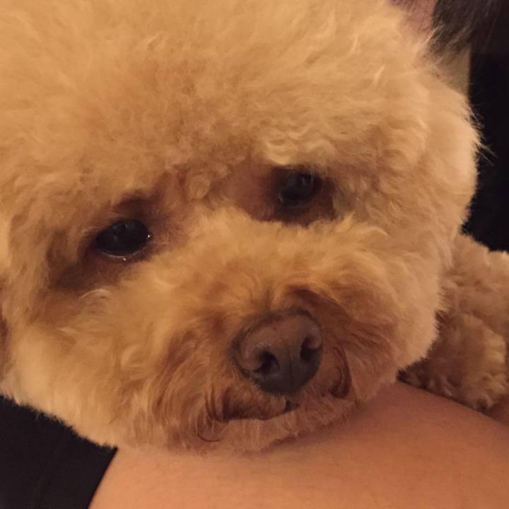 71393633 08a2 48b1 9163 f762f5a3af71