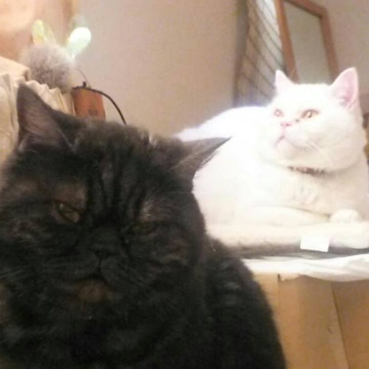 71394988 cea8 4a30 a11b 43df8b314313