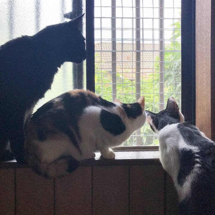 7139654d 56a8 4655 90f2 c537ac8fb9f6