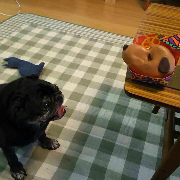 71396ff2 f97e 4ccf 96ab d240d2b6d6f6