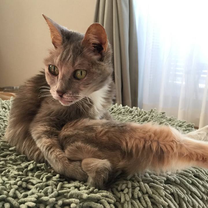 7139704b 3065 41c3 b70c fc2687545bd3