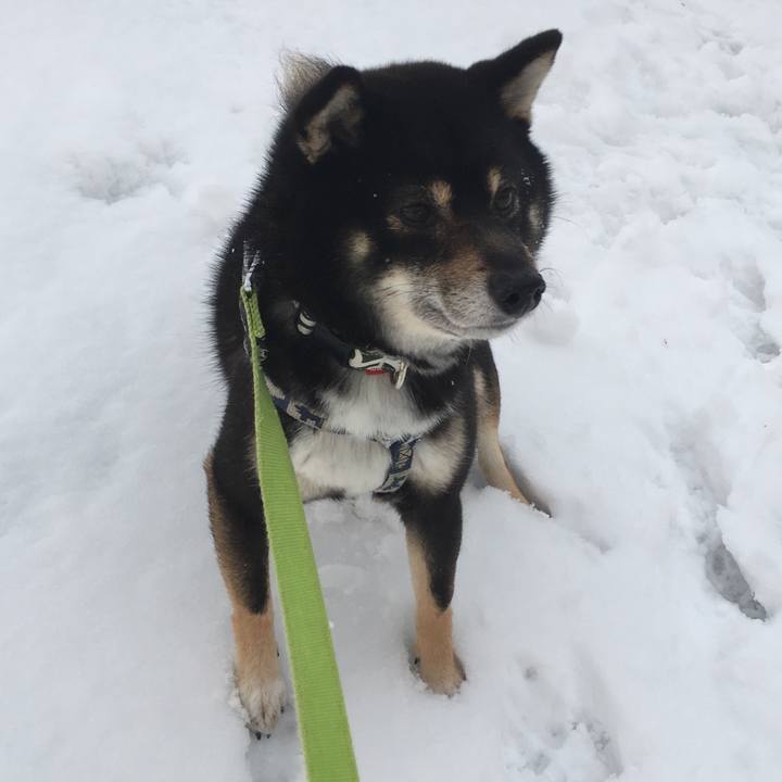 713adbe1 e214 48b4 ad09 ac0835f4d73a