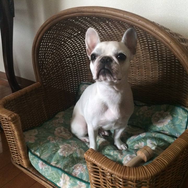 713b0f5e 8a06 40af b926 57e40110702c