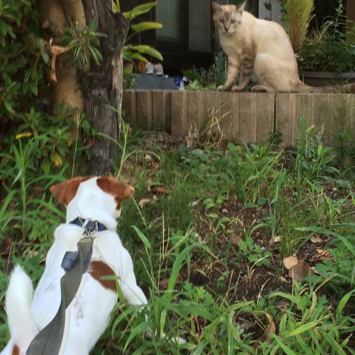 713b1a0b d27d 4db6 ba5f 6621b5bdd7de